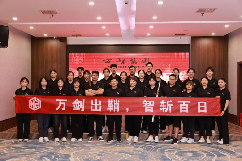 Стиль команды Wanzhi Steel